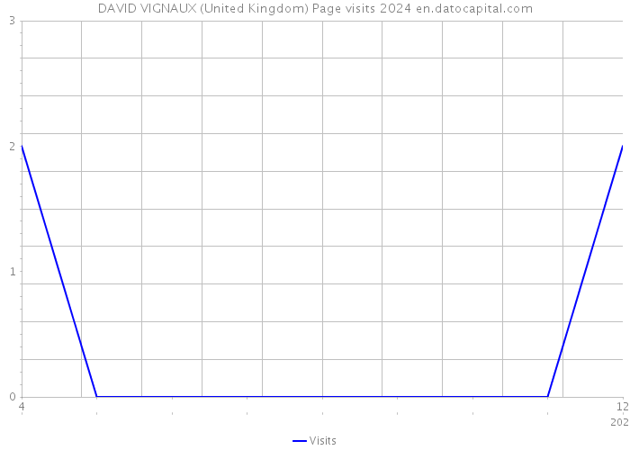 DAVID VIGNAUX (United Kingdom) Page visits 2024 