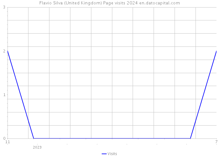 Flavio Silva (United Kingdom) Page visits 2024 