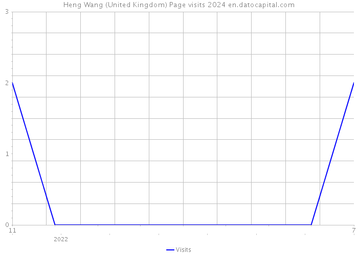 Heng Wang (United Kingdom) Page visits 2024 