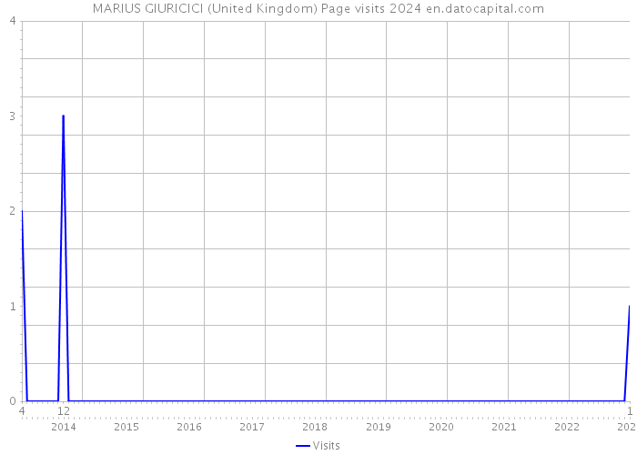 MARIUS GIURICICI (United Kingdom) Page visits 2024 