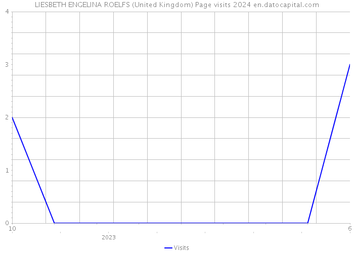 LIESBETH ENGELINA ROELFS (United Kingdom) Page visits 2024 