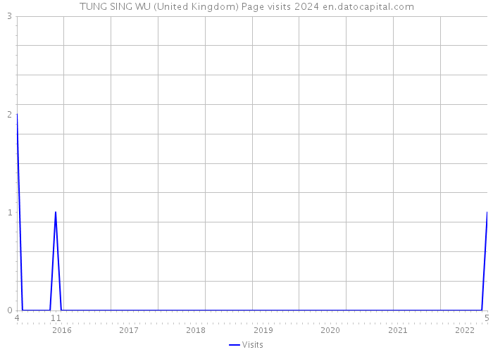 TUNG SING WU (United Kingdom) Page visits 2024 