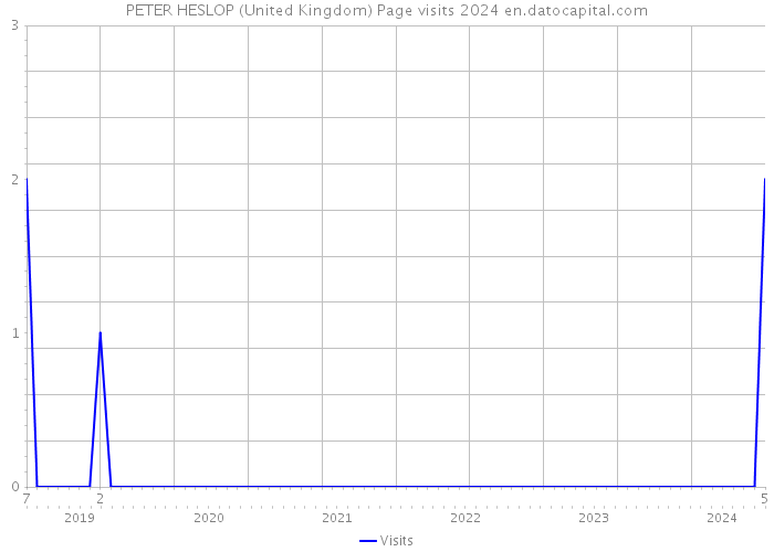 PETER HESLOP (United Kingdom) Page visits 2024 