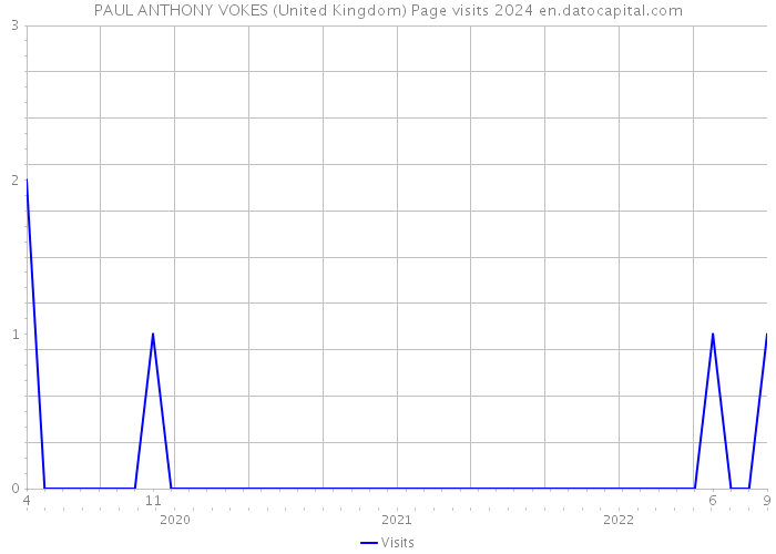 PAUL ANTHONY VOKES (United Kingdom) Page visits 2024 