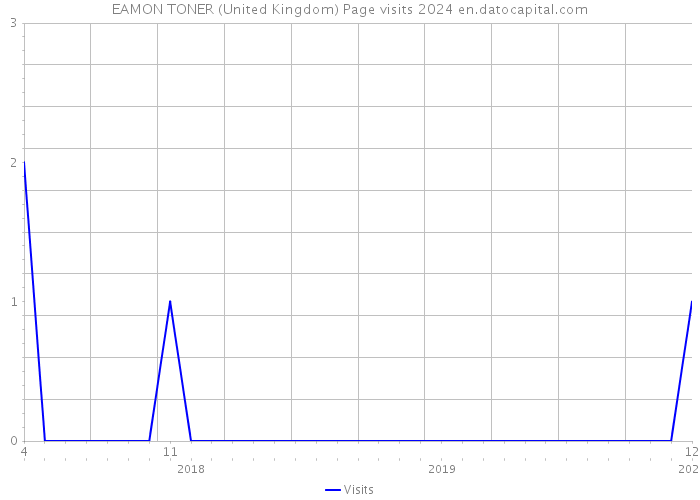 EAMON TONER (United Kingdom) Page visits 2024 