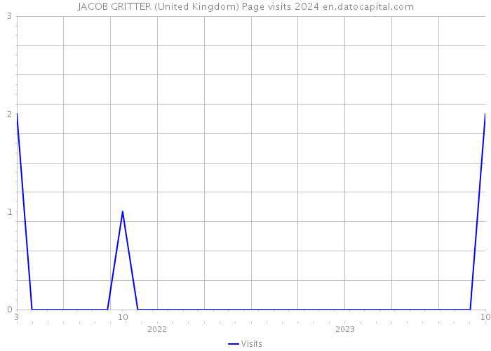 JACOB GRITTER (United Kingdom) Page visits 2024 