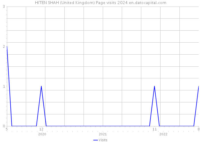 HITEN SHAH (United Kingdom) Page visits 2024 