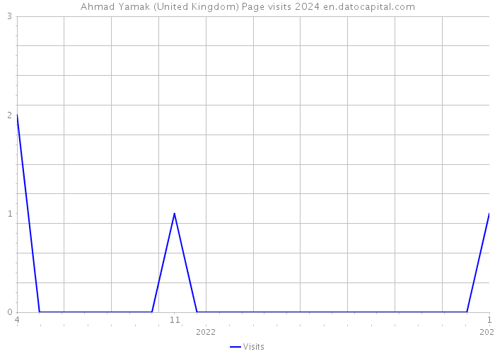 Ahmad Yamak (United Kingdom) Page visits 2024 