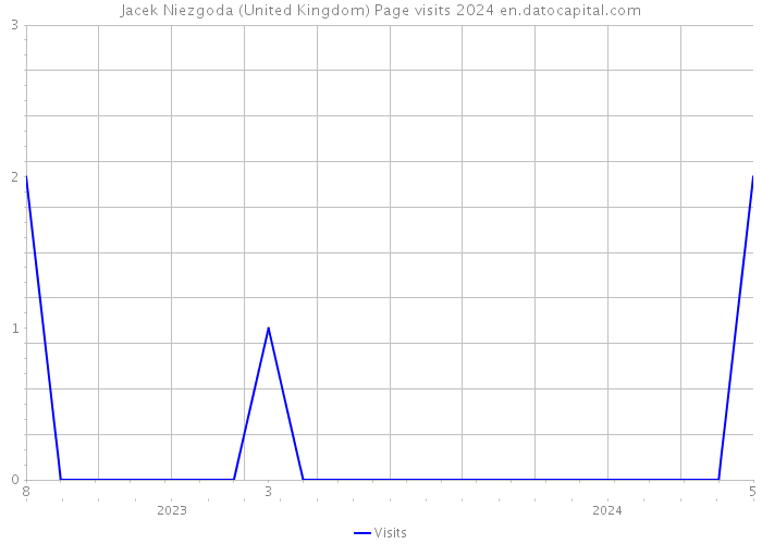 Jacek Niezgoda (United Kingdom) Page visits 2024 