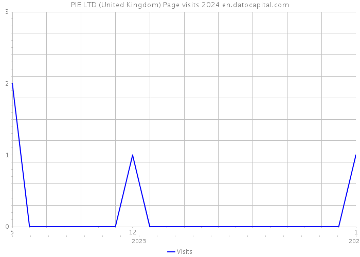 PIE LTD (United Kingdom) Page visits 2024 