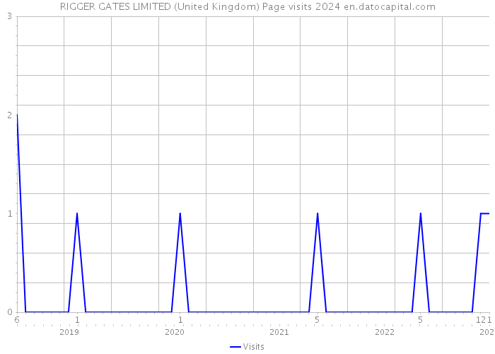 RIGGER GATES LIMITED (United Kingdom) Page visits 2024 