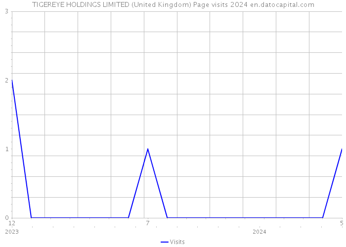 TIGEREYE HOLDINGS LIMITED (United Kingdom) Page visits 2024 