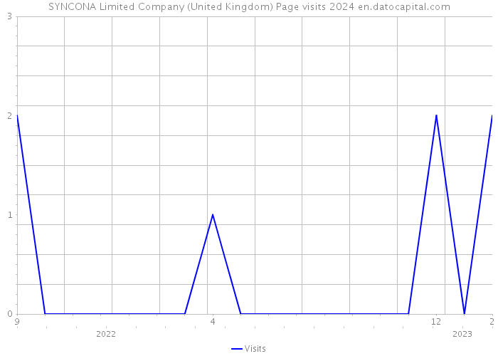 SYNCONA Limited Company (United Kingdom) Page visits 2024 