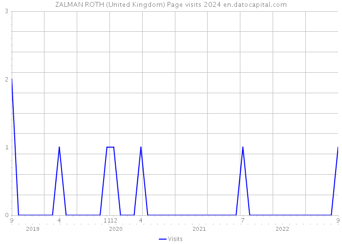 ZALMAN ROTH (United Kingdom) Page visits 2024 
