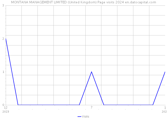 MONTANA MANAGEMENT LIMITED (United Kingdom) Page visits 2024 