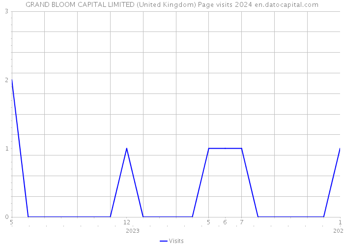 GRAND BLOOM CAPITAL LIMITED (United Kingdom) Page visits 2024 