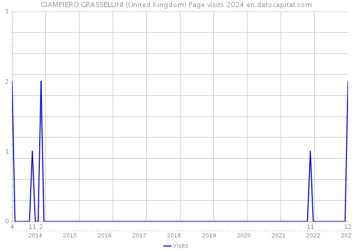 GIAMPIERO GRASSELLINI (United Kingdom) Page visits 2024 