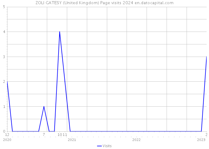 ZOLI GATESY (United Kingdom) Page visits 2024 
