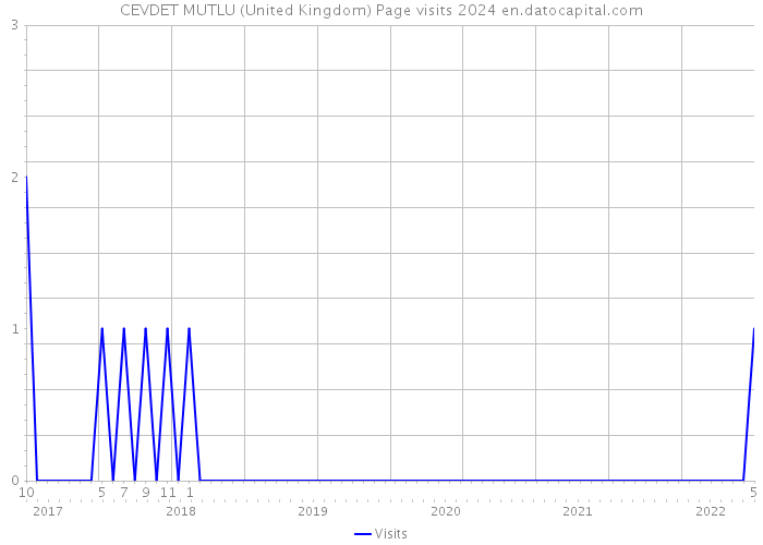 CEVDET MUTLU (United Kingdom) Page visits 2024 