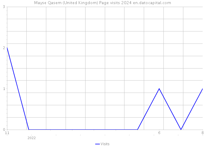 Mayse Qasem (United Kingdom) Page visits 2024 