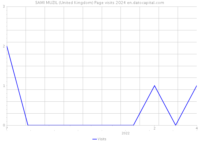 SAMI MUZIL (United Kingdom) Page visits 2024 