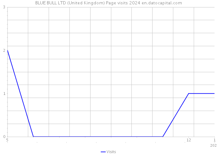 BLUE BULL LTD (United Kingdom) Page visits 2024 
