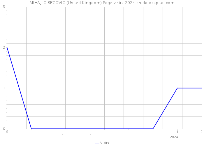 MIHAJLO BEGOVIC (United Kingdom) Page visits 2024 