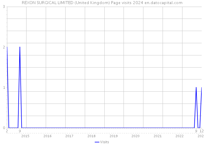 REXON SURGICAL LIMITED (United Kingdom) Page visits 2024 