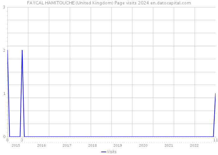 FAYCAL HAMITOUCHE (United Kingdom) Page visits 2024 