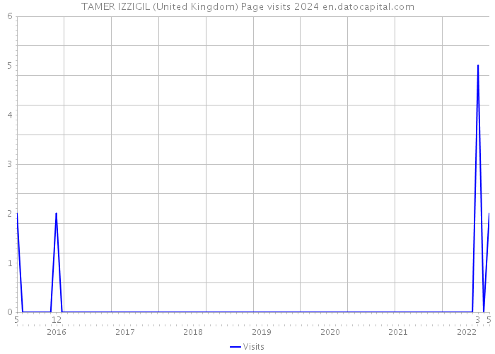 TAMER IZZIGIL (United Kingdom) Page visits 2024 
