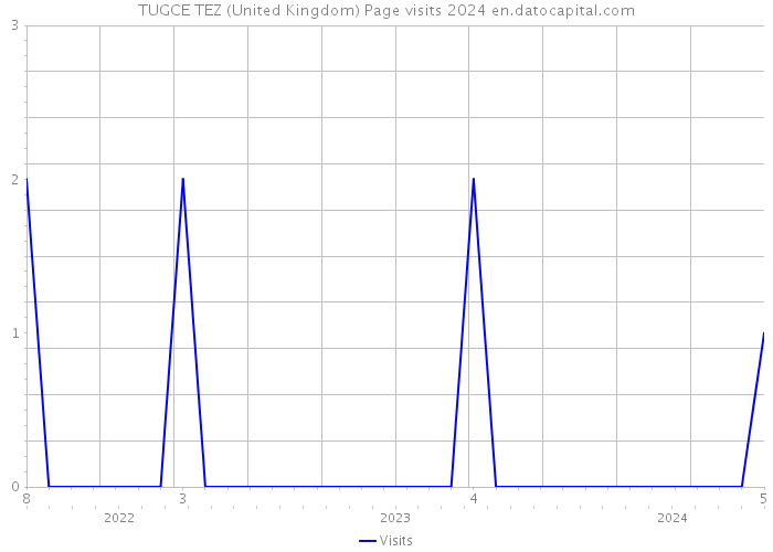 TUGCE TEZ (United Kingdom) Page visits 2024 