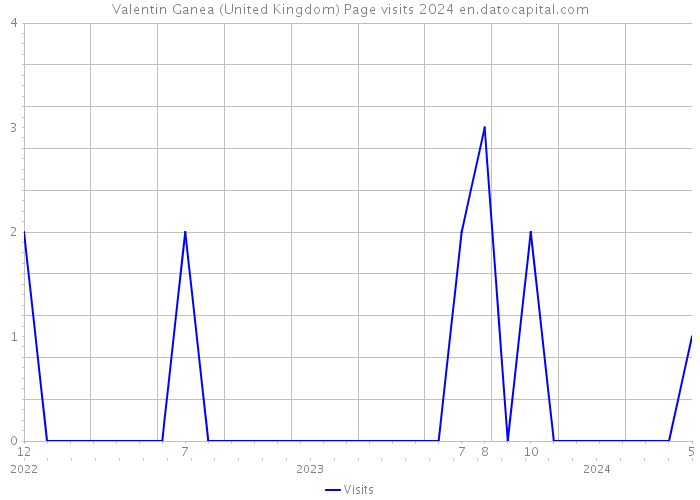 Valentin Ganea (United Kingdom) Page visits 2024 