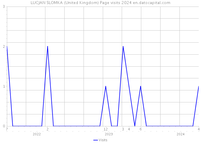 LUCJAN SLOMKA (United Kingdom) Page visits 2024 