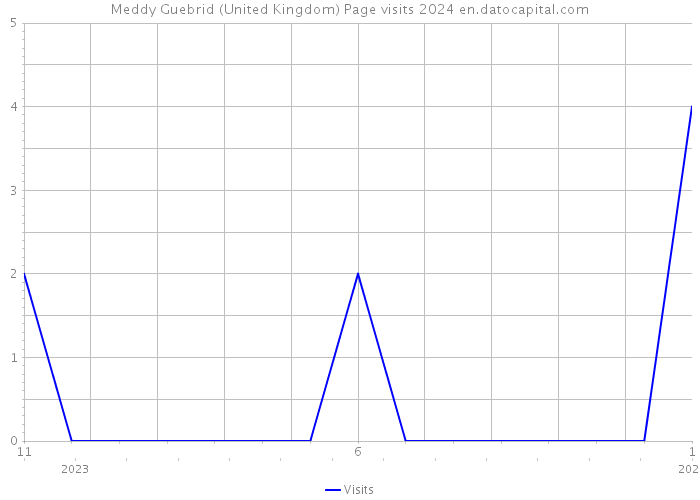 Meddy Guebrid (United Kingdom) Page visits 2024 