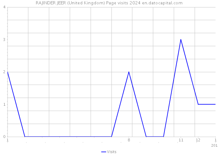 RAJINDER JEER (United Kingdom) Page visits 2024 