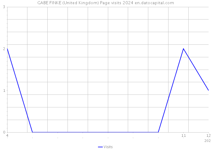 GABE FINKE (United Kingdom) Page visits 2024 
