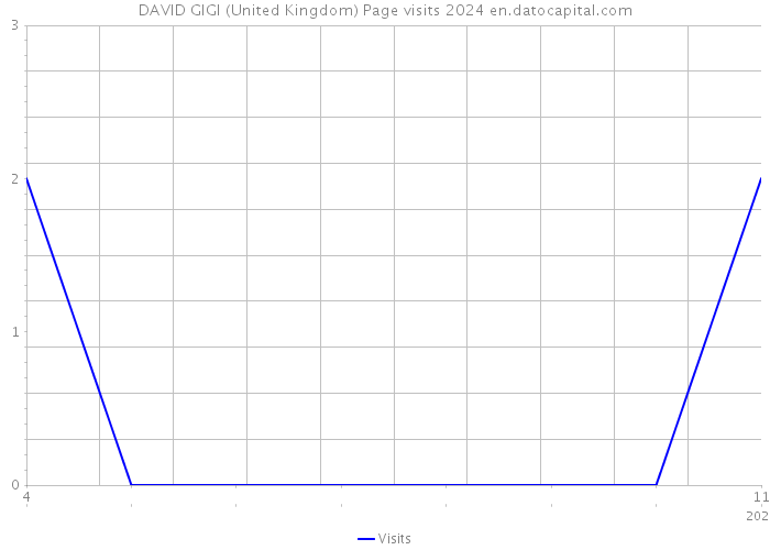 DAVID GIGI (United Kingdom) Page visits 2024 