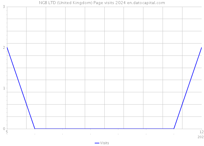 NGB LTD (United Kingdom) Page visits 2024 