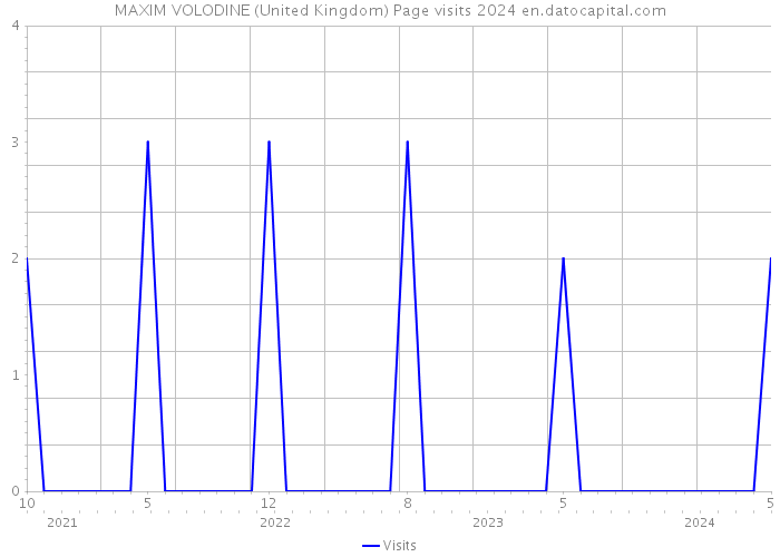 MAXIM VOLODINE (United Kingdom) Page visits 2024 