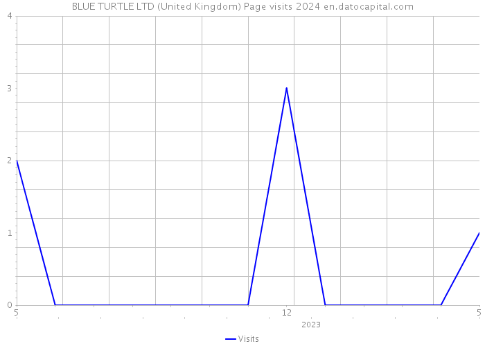 BLUE TURTLE LTD (United Kingdom) Page visits 2024 
