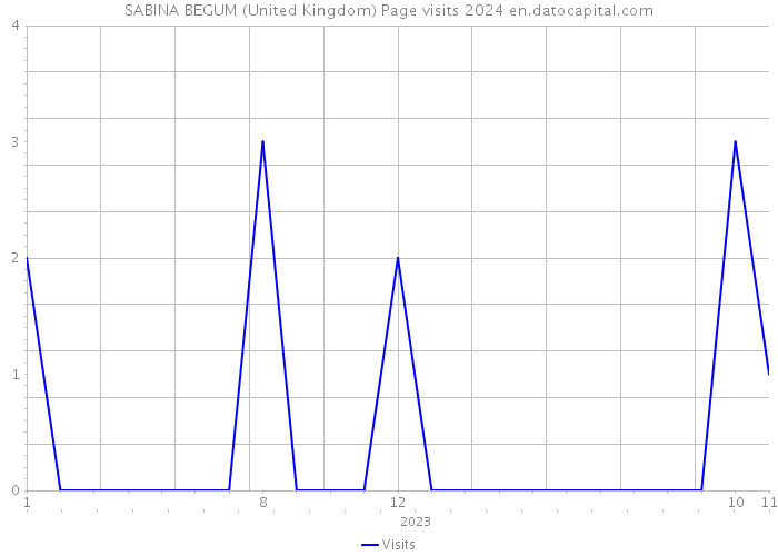 SABINA BEGUM (United Kingdom) Page visits 2024 