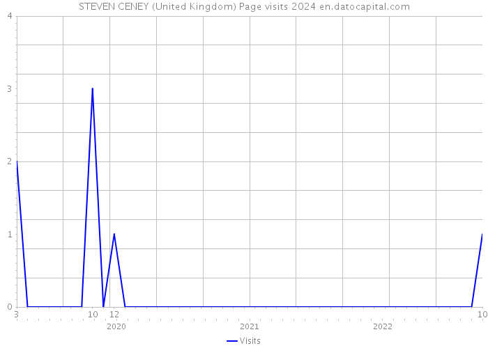 STEVEN CENEY (United Kingdom) Page visits 2024 