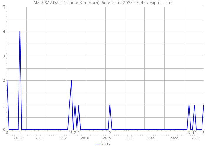 AMIR SAADATI (United Kingdom) Page visits 2024 
