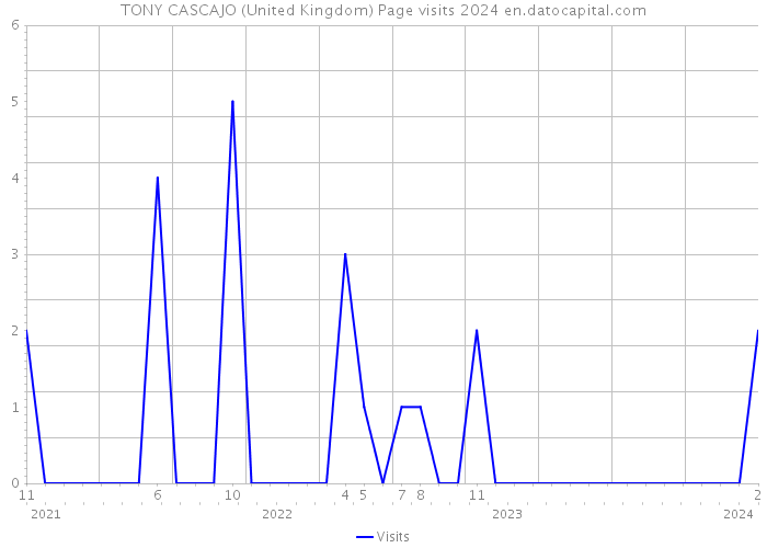 TONY CASCAJO (United Kingdom) Page visits 2024 