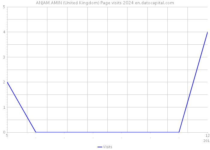 ANJAM AMIN (United Kingdom) Page visits 2024 