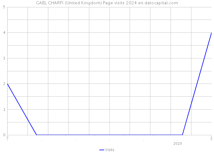 GAEL CHARFI (United Kingdom) Page visits 2024 