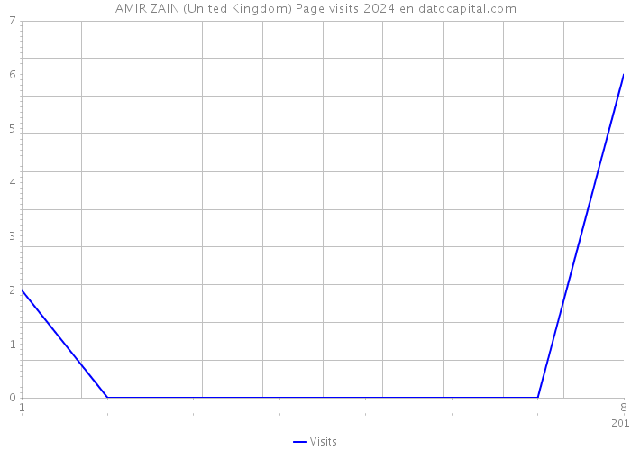 AMIR ZAIN (United Kingdom) Page visits 2024 