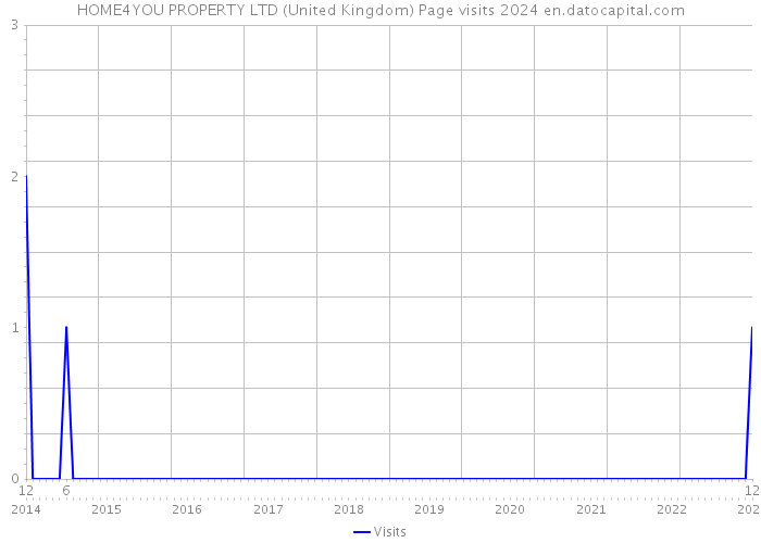 HOME4YOU PROPERTY LTD (United Kingdom) Page visits 2024 