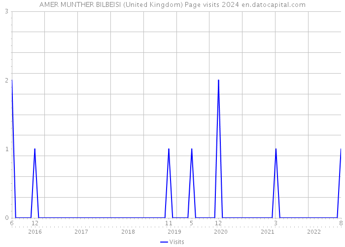 AMER MUNTHER BILBEISI (United Kingdom) Page visits 2024 