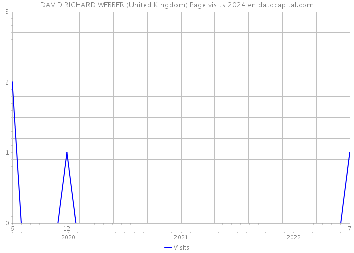 DAVID RICHARD WEBBER (United Kingdom) Page visits 2024 